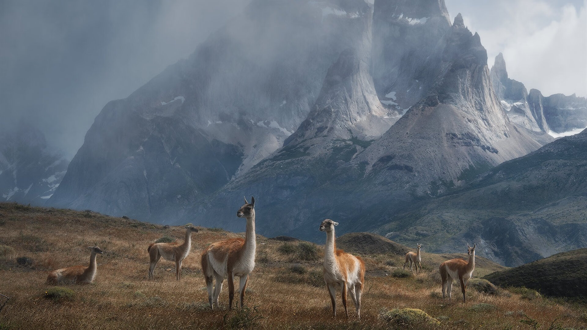 乐鱼体育登陆-“武汉马拉松：选手们挑战极限，拼尽全力冲刺”