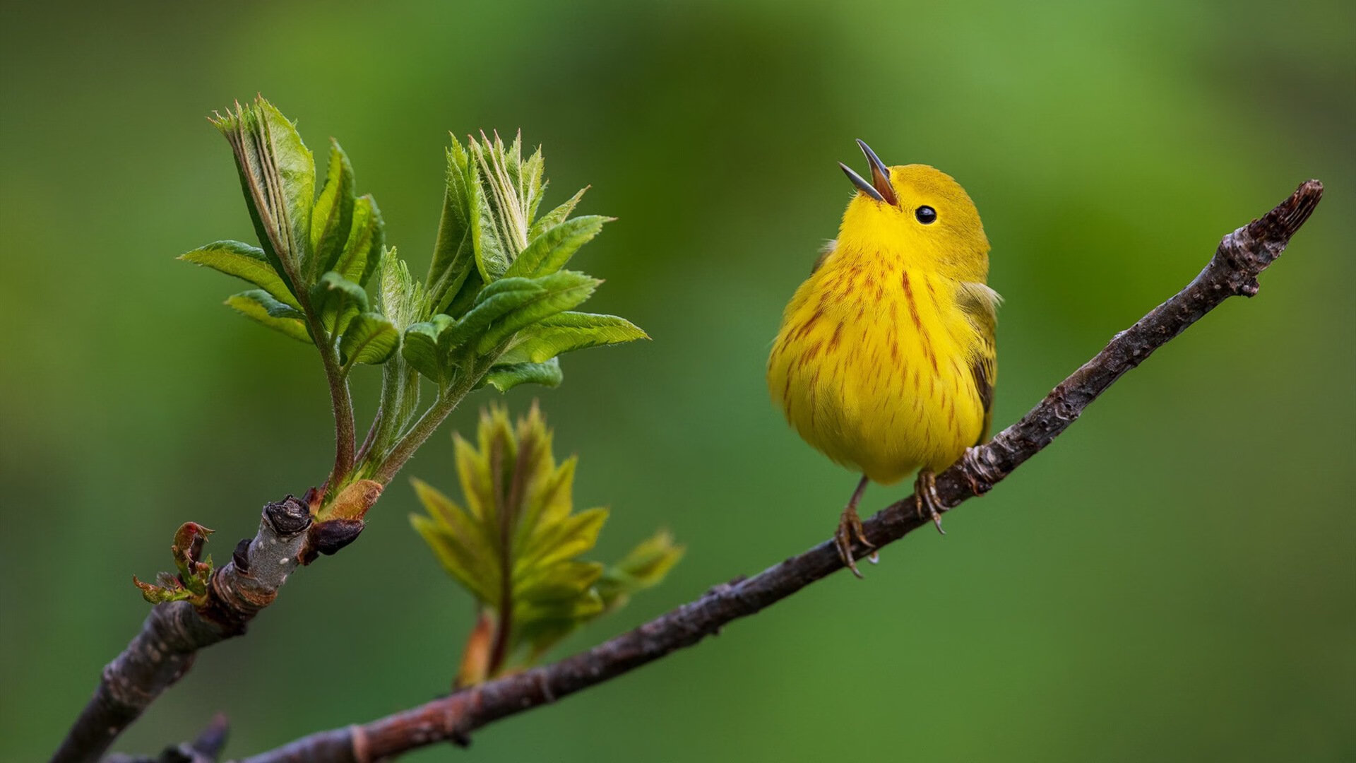 乐鱼官网介绍-“缆绳滑水：东桃花岛赛场带来无限速度与挑战”
