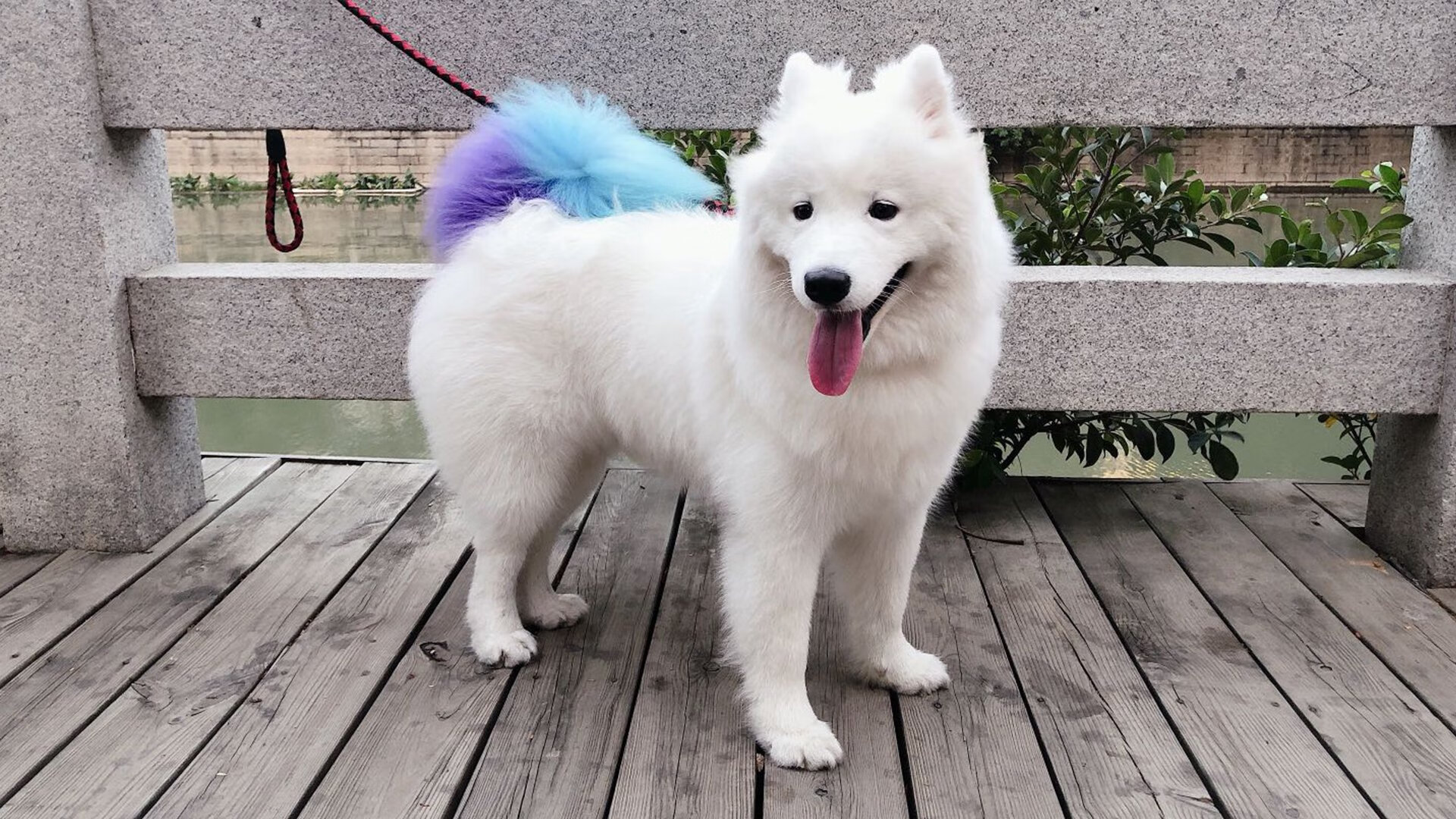 中国女篮核心球员表现抢眼 引领球队节奏,中国女篮人物介绍