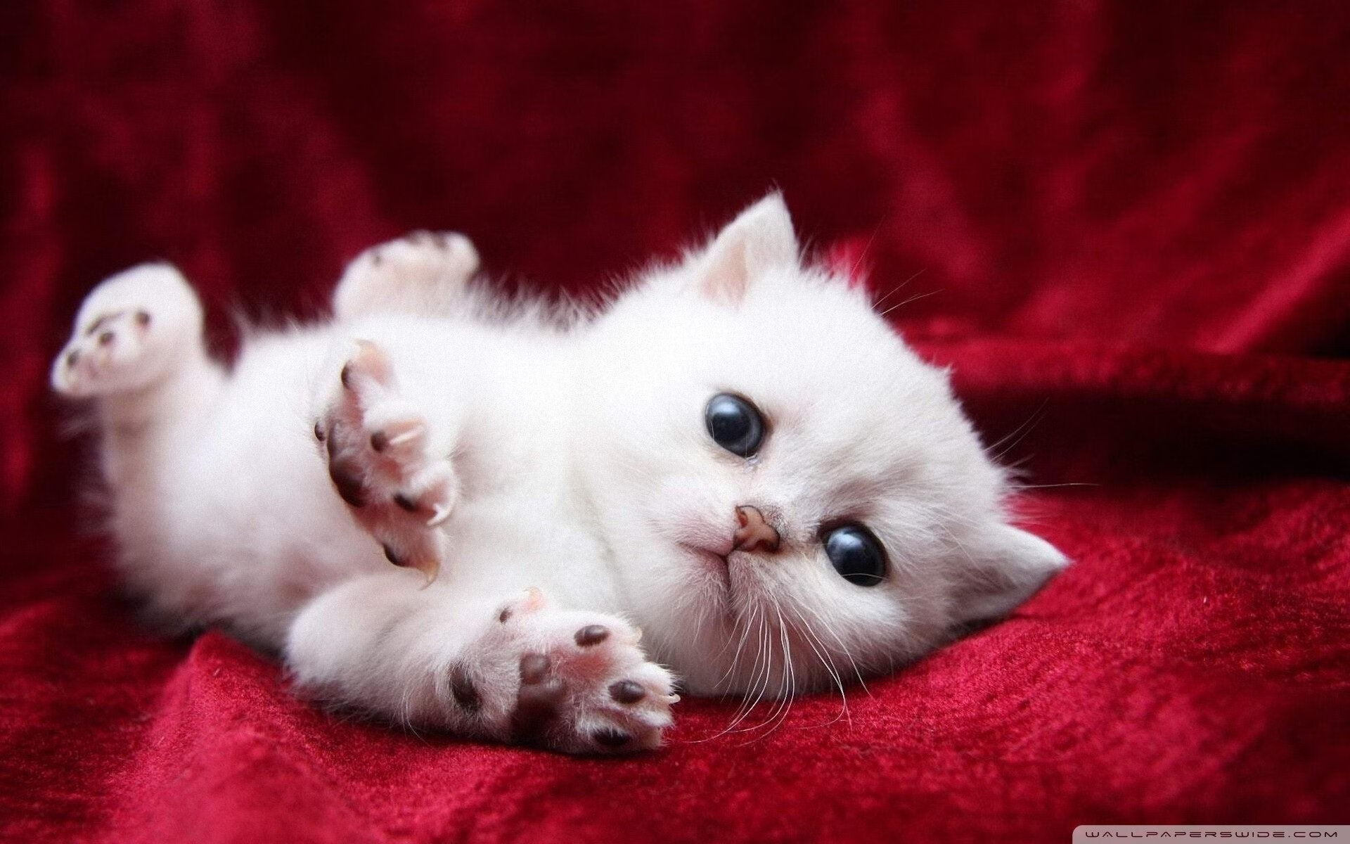 五大联赛是否建立以门将为第一组织者的战术思维，五大联赛开打