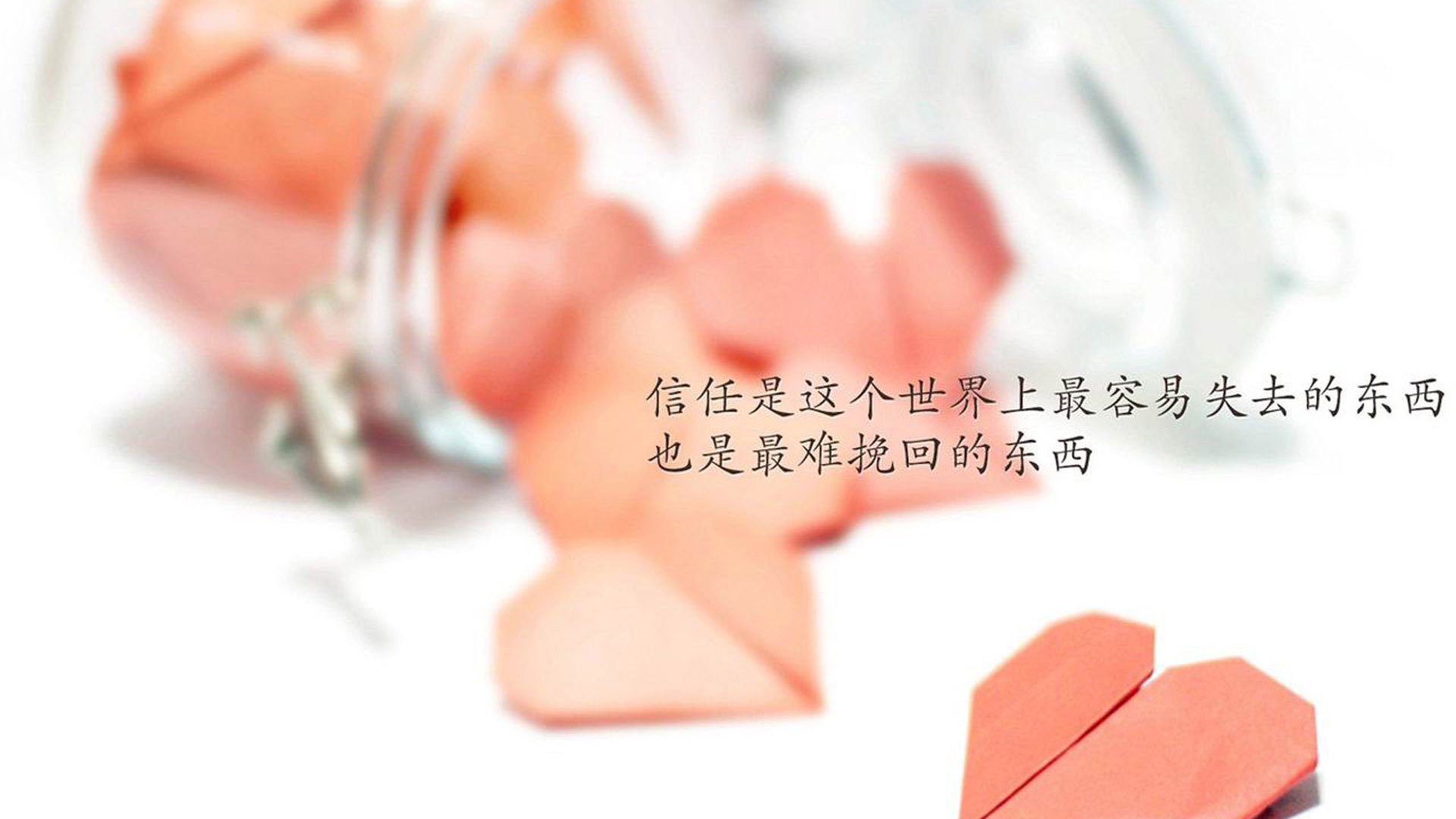 自由搏击训练体系完善,自由搏击训练体系完善方案