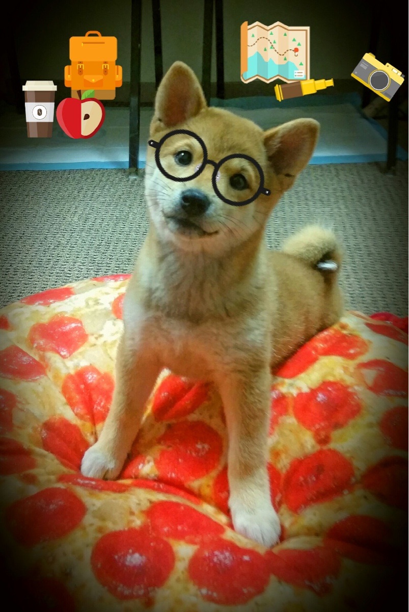 乐鱼官网介绍-蝶泳转身效率提升助选手快速加速，蝶泳转体