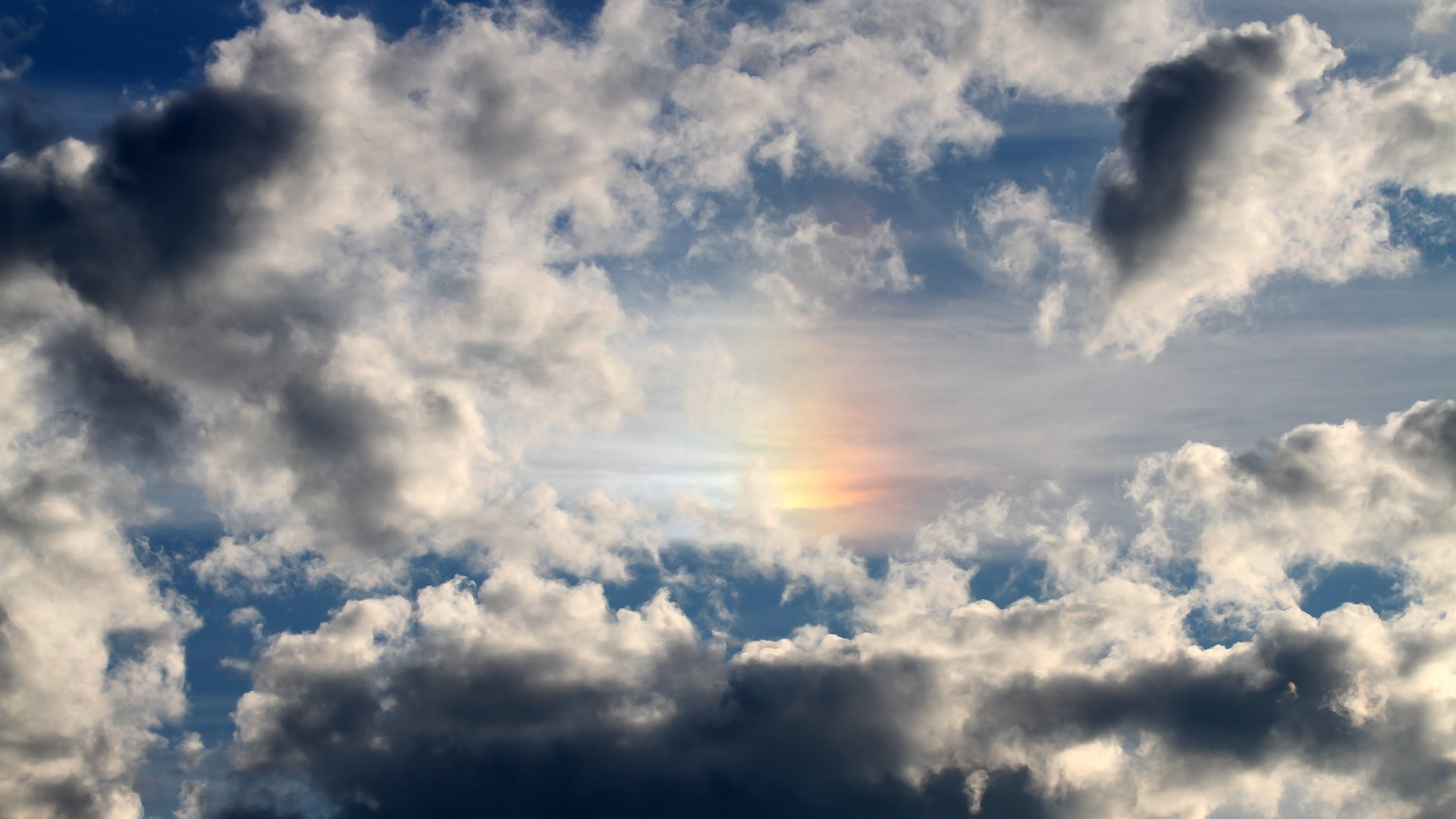 乐鱼体育app官网下载-青少年赛事缺少伤病数据归档分析体系