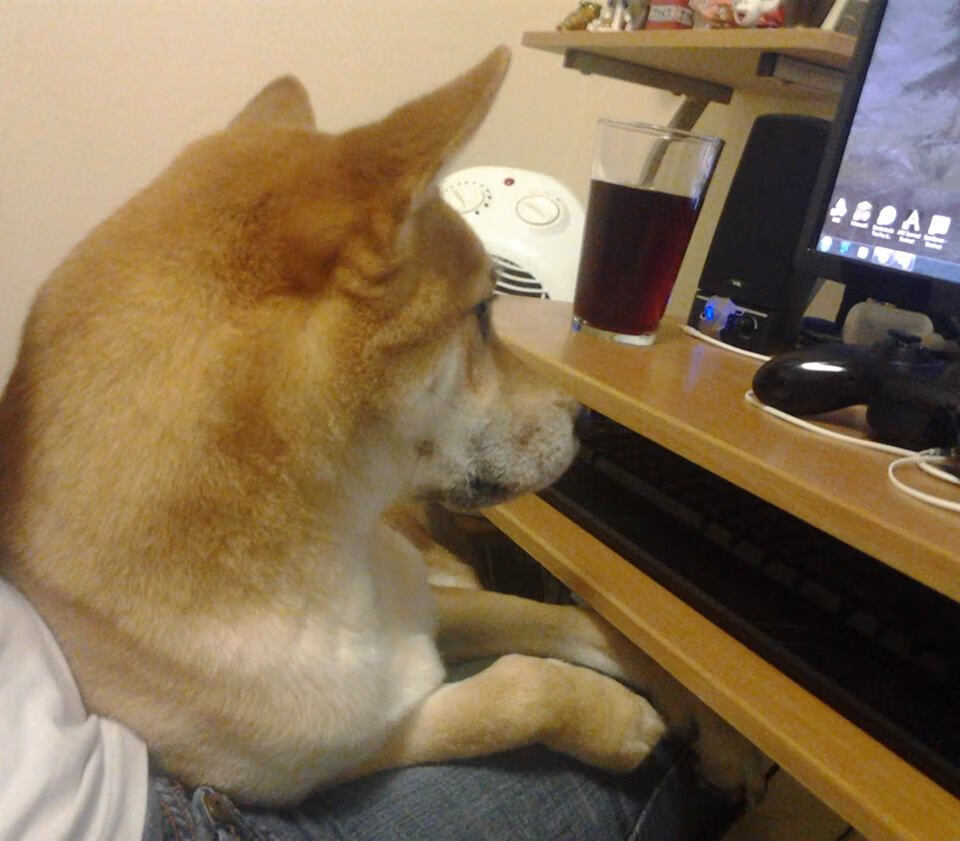 丁俊晖完成绝杀瞬间斯诺克世锦赛,丁俊晖斯诺克世锦赛赛程