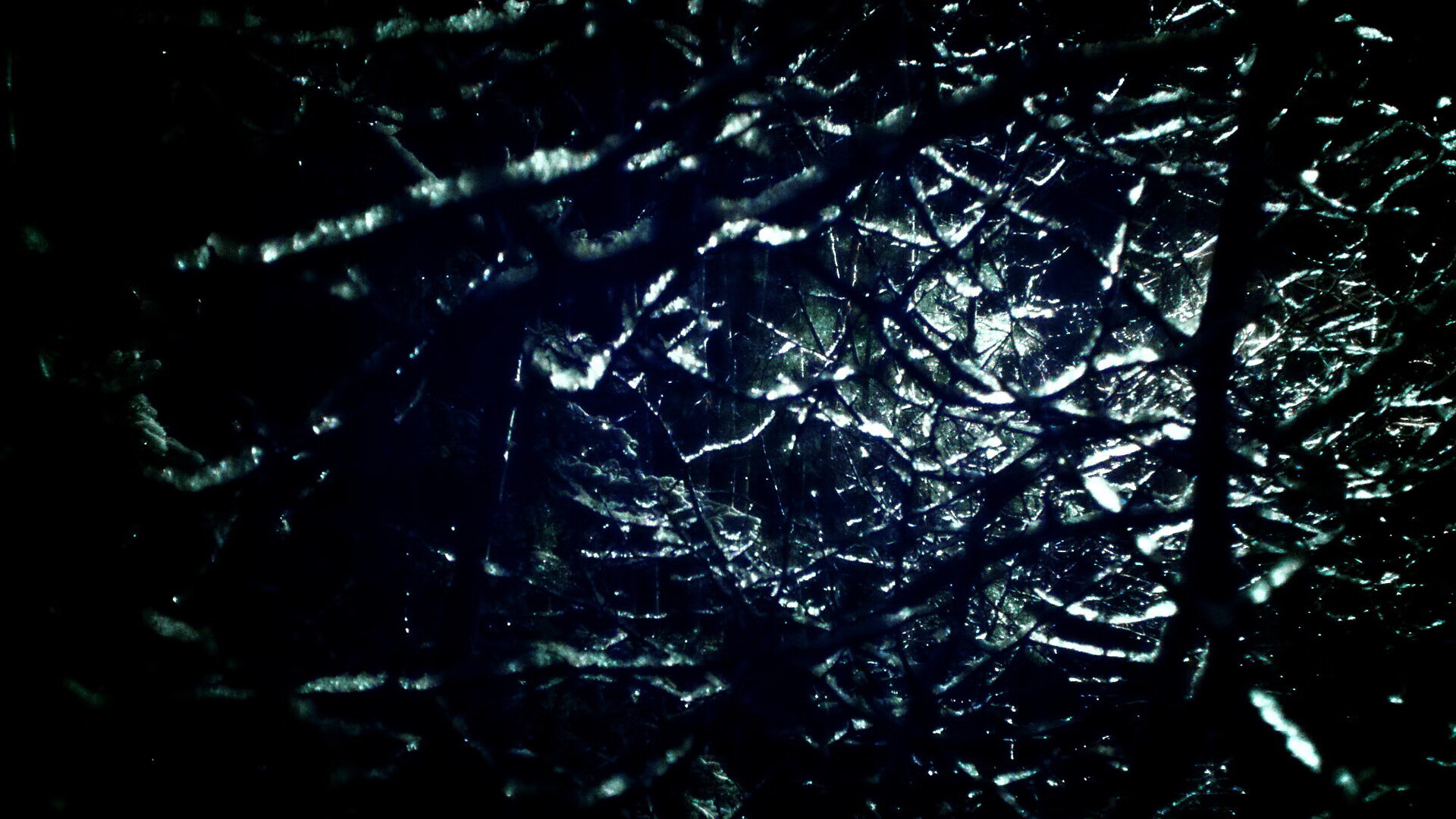 乐鱼体育平台登录-史密斯200米蝶泳决赛精准发力夺冠，史密斯200米蝶泳决赛精准发力夺冠了吗